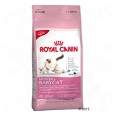 Mother Babycat 2Kg Royal Canin