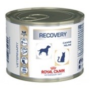 Royal Canin Recovery Veterinary 195G