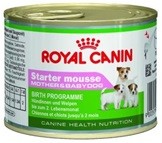 Starter Mousse 195 g Royal Canin