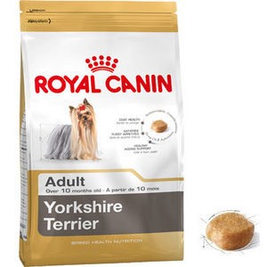 YORKSHIRE TERRIER ADULTO ROYAL CANING 1.5 KG