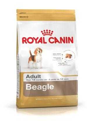 Beagle Adult  3 kg Royal Canin