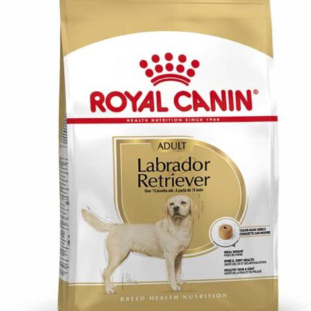 Labrador Adult  12 Kg Royal Canin