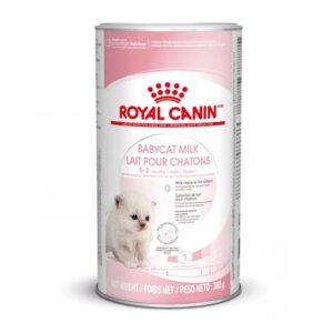 Royal Canin Leche Babycat 300 g