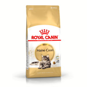 Maine Coon 4 Kg Gato Royal Canin