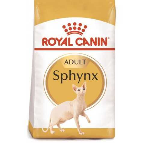 sphynx 10 kg