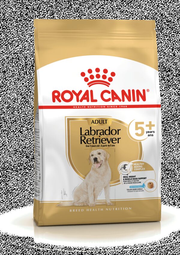 Labrador ageing +5 12Kg Royal Canin