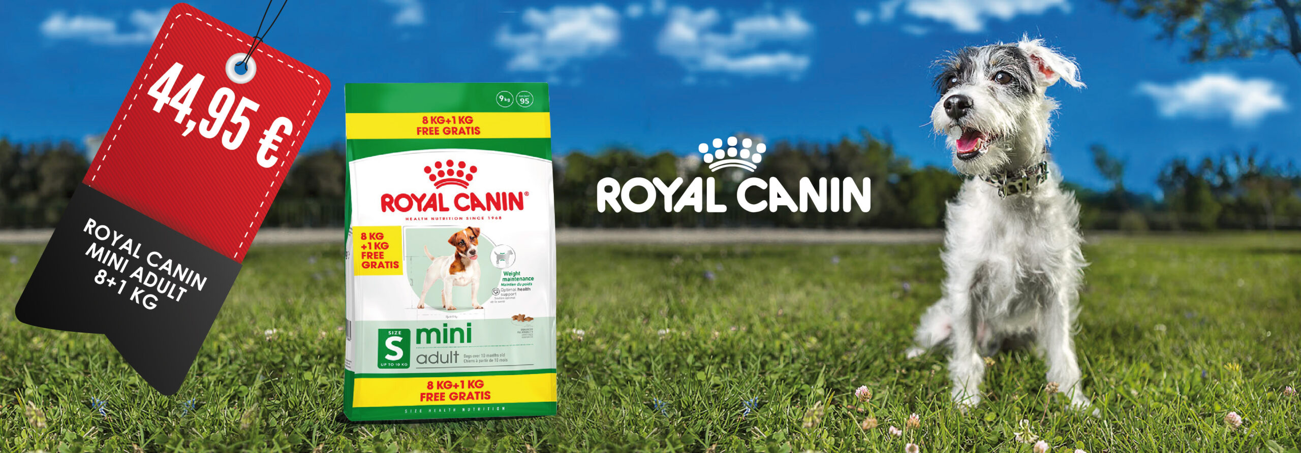 ROYAL CANIN MINI ADULT 8+1 KG
44,95 €