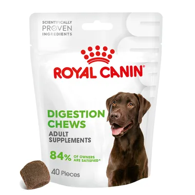 Royal Canin Digestion Adult suplement 3 x 160 g